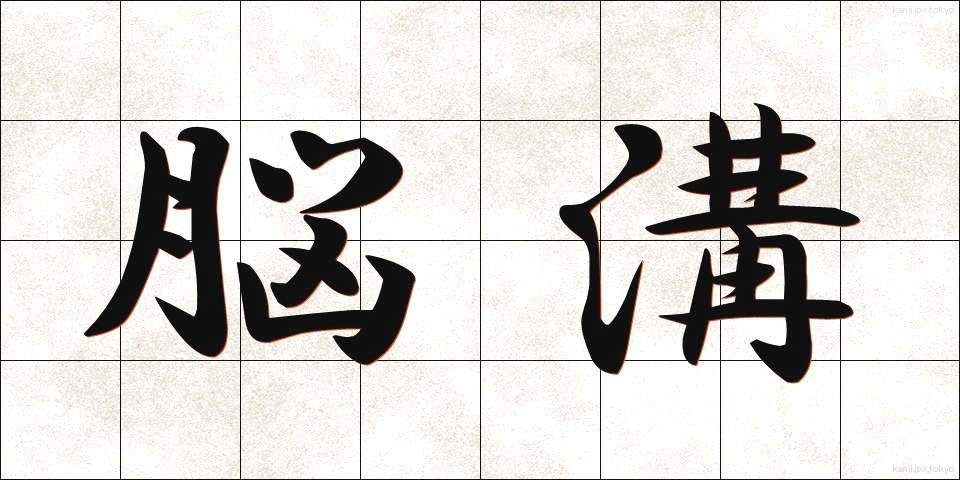 脳溝 (のうこう)