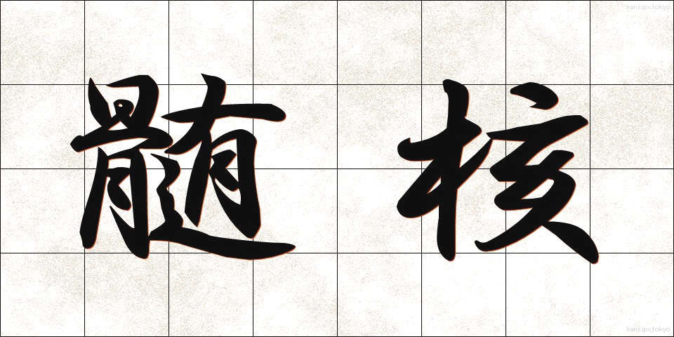 髄核 (ずいかく)