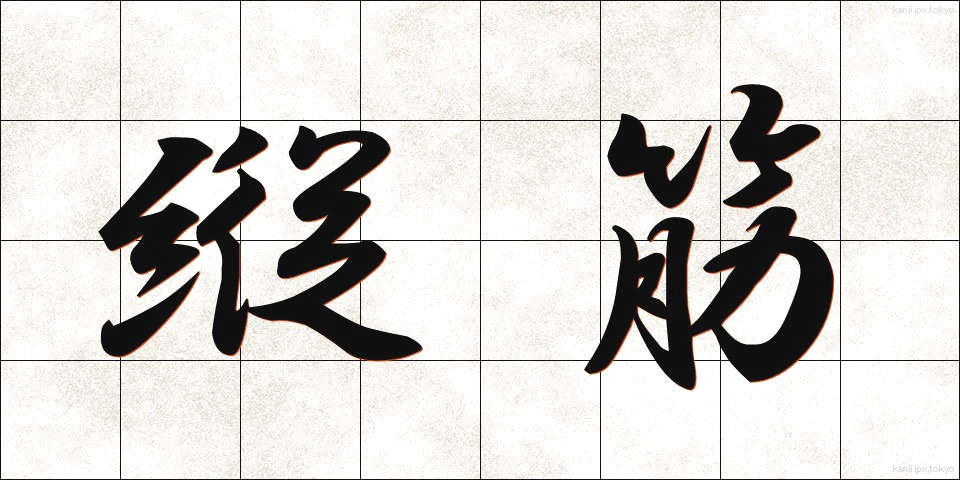 縦筋 (たてすじ)