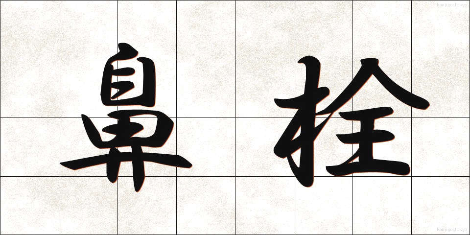 鼻栓 (びせん)