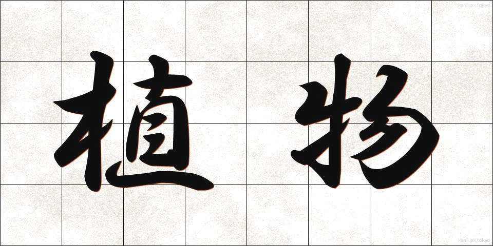 植物 (しょくぶつ)