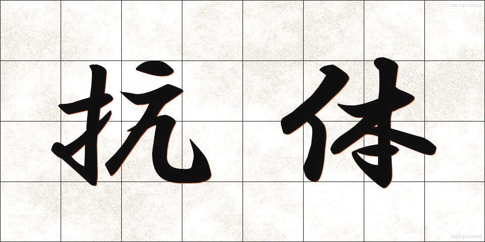 抗体 (こうたい)