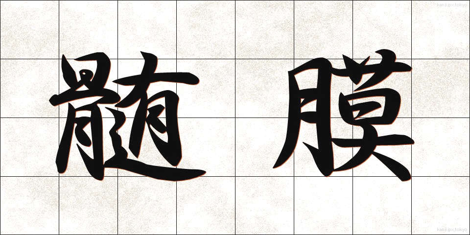 髄膜 (ずいまく)