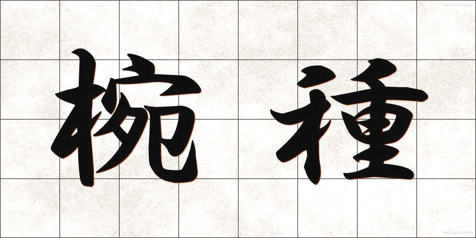 椀種 (わんしゅ)