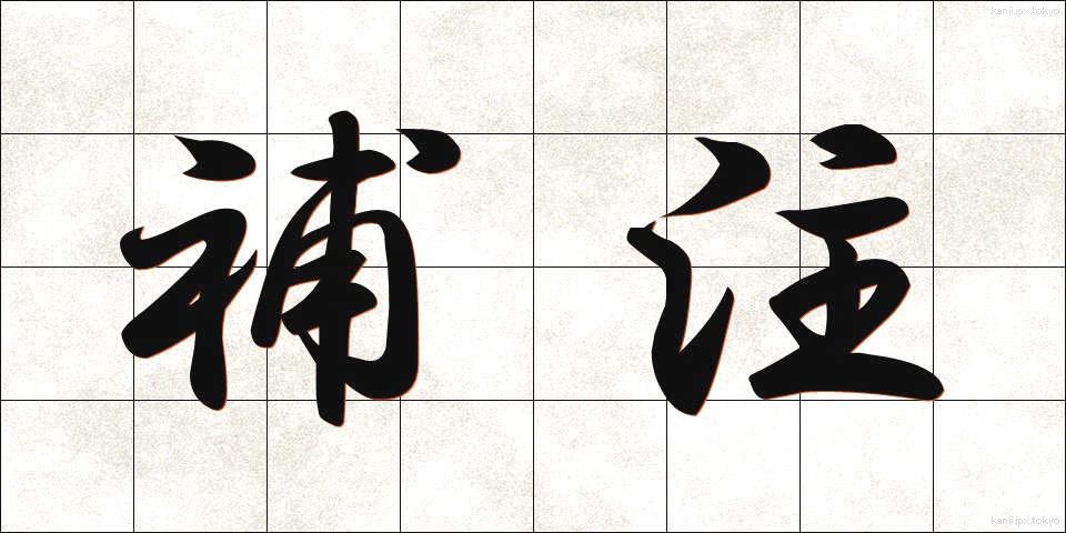 補注 (ほちゅう)