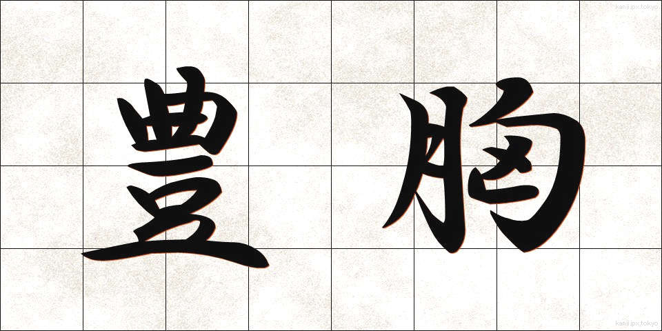 豊胸 (ほうきょう)