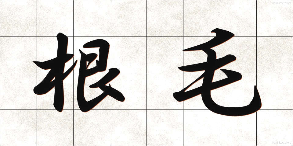 根毛 (こんもう)