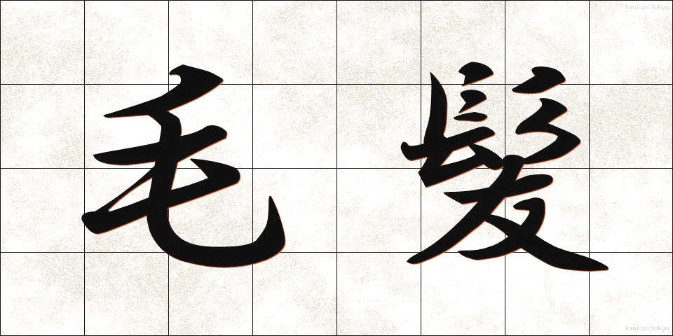 毛髪 (もうはつ)