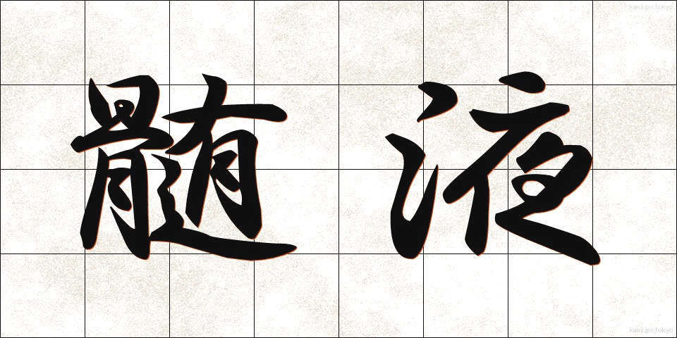 髄液 (ずいえき)