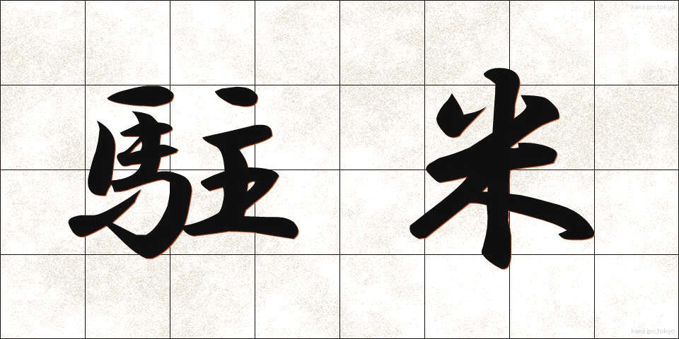 駐米 (ちゅうべい)