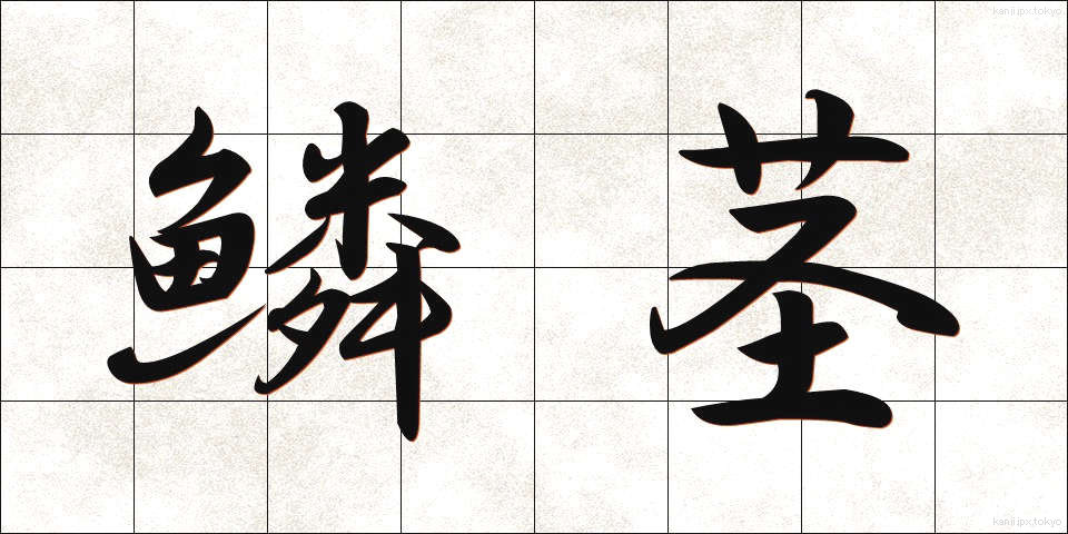 鱗茎 (りんけい)