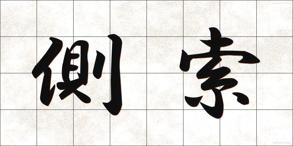 側索 (そくさく)