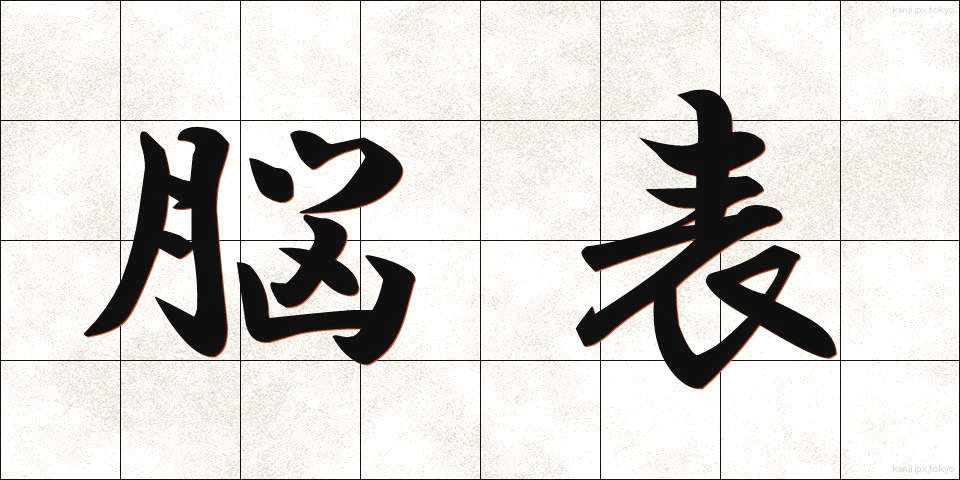 脳表 (のうひょう)