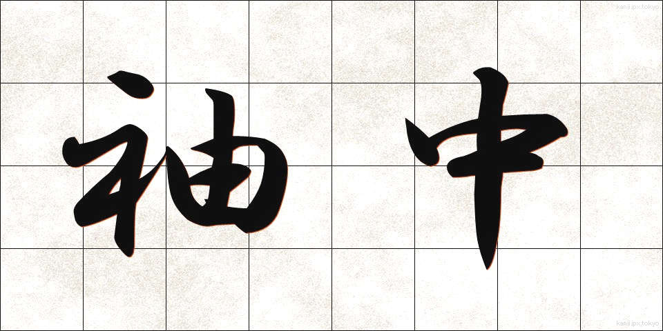 袖中 (そでなか)