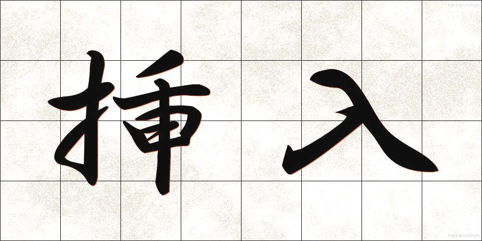 挿入 (そうにゅう)