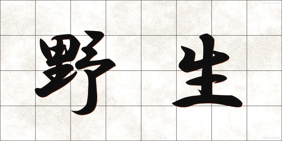 野生 (やせい)
