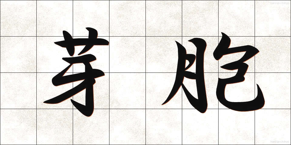 芽胞 (がほう)