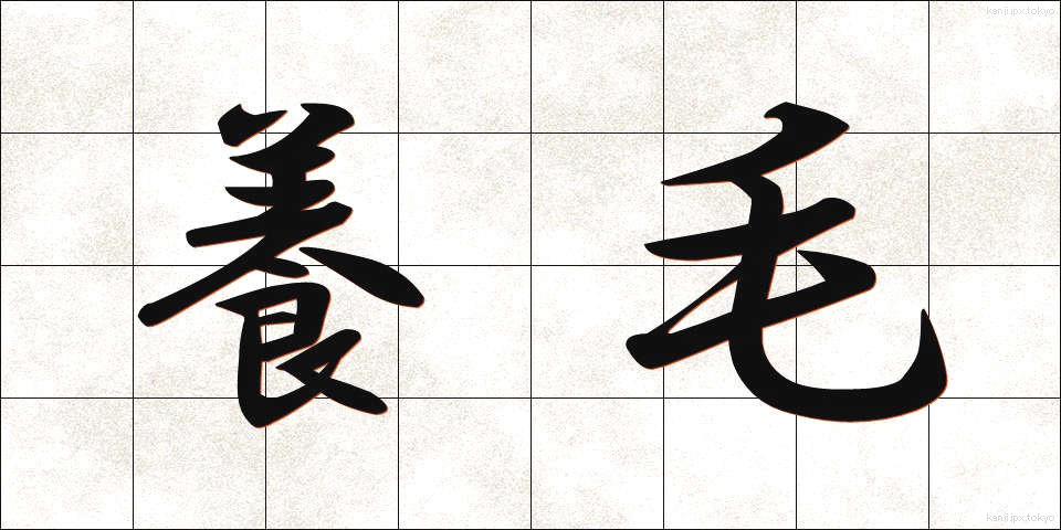 養毛 (ようもう)