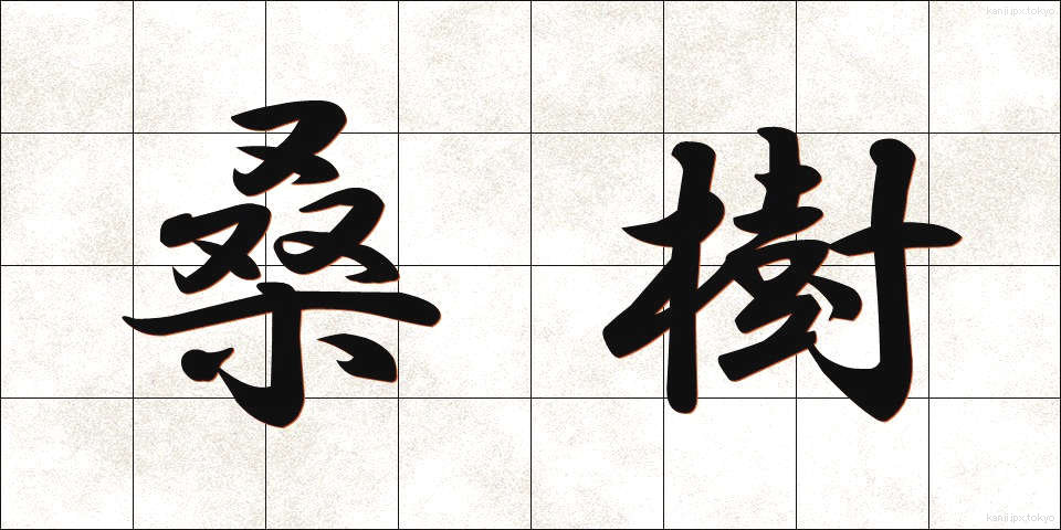 桑樹 (そうじゅ)