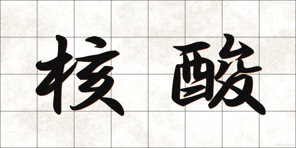 核酸 (かくさん)