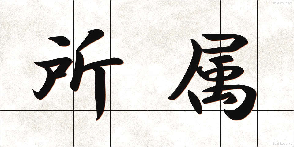 所属 (しょぞく)