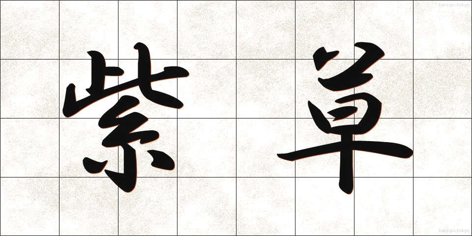 紫草 (しそう)