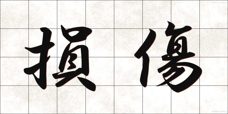 損傷 (そんしょう)
