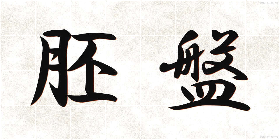 胚盤 (はいばん)