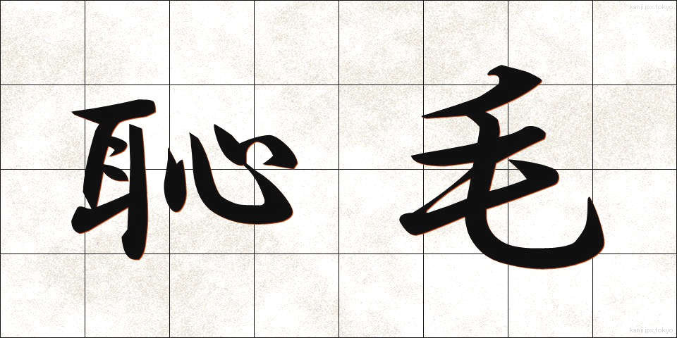 恥毛 (ちもう)