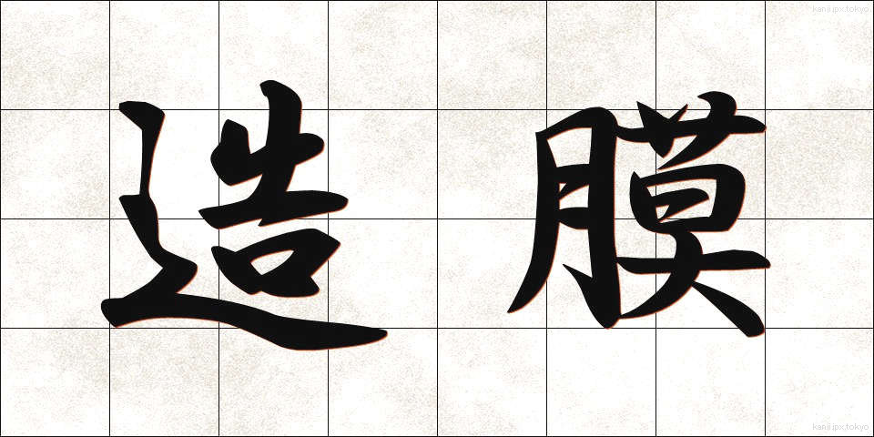 造膜 (ぞうまく)