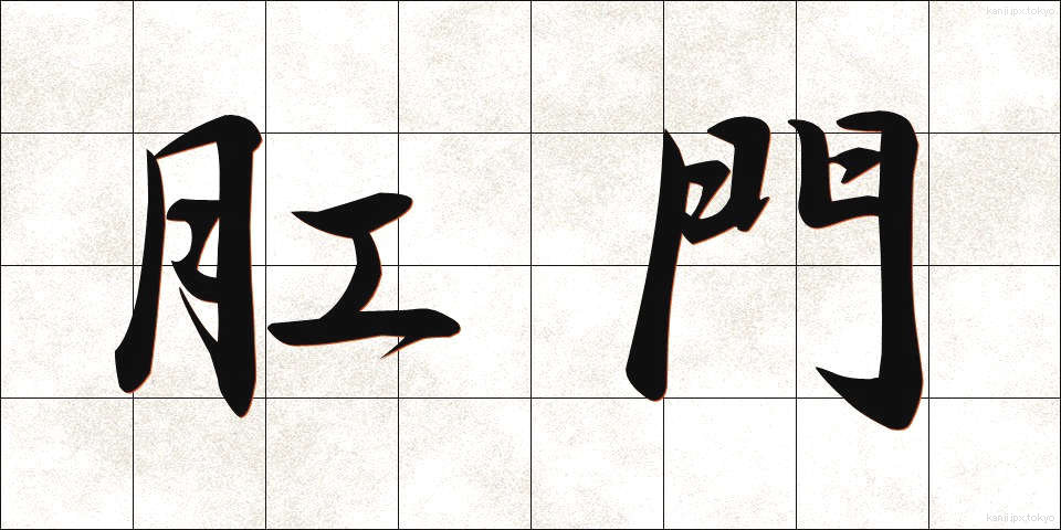 肛門 (こうもん)