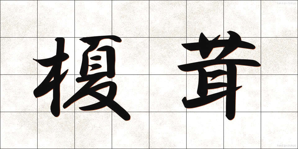 榎茸 (えのきたけ)