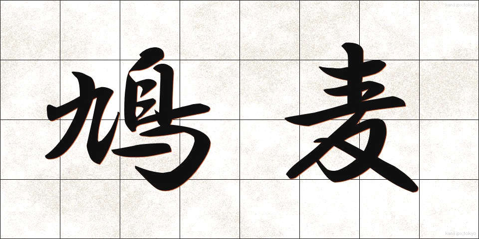鳩麦 (はとむぎ)