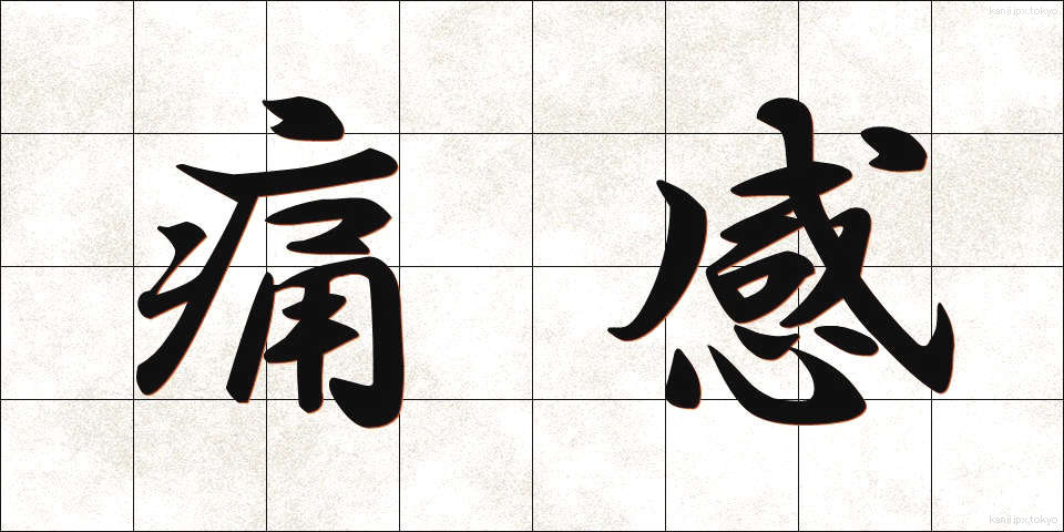 痛感 (つうかん)