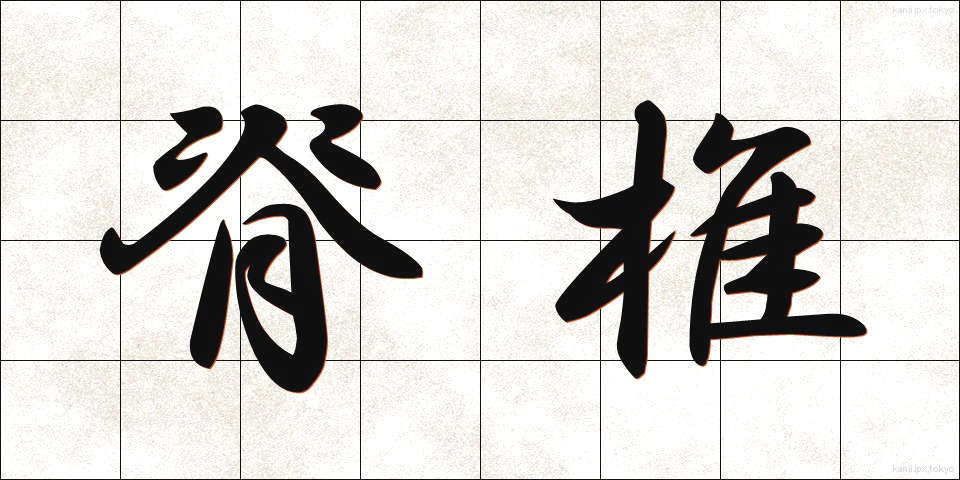 脊椎 (せきつい)