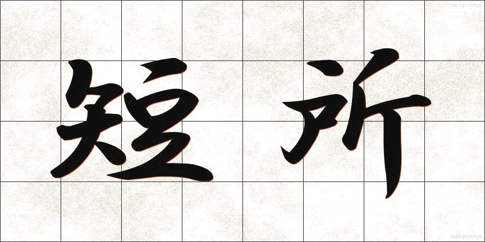 短所 (たんしょ)