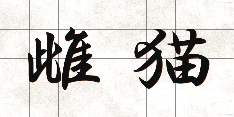 雌猫 (めねこ)