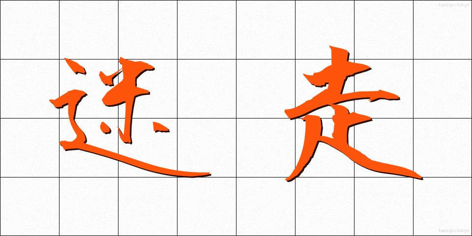 迷走 (めいそう)