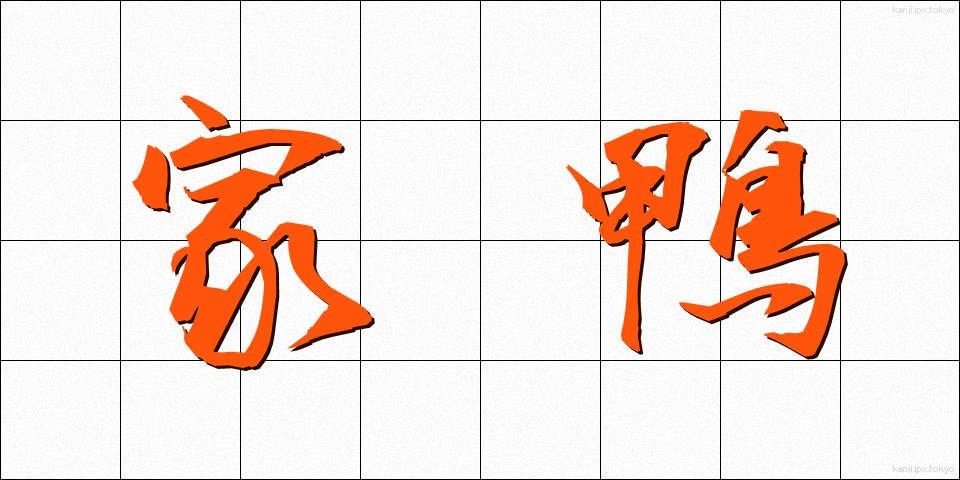 家鴨 (あひる)