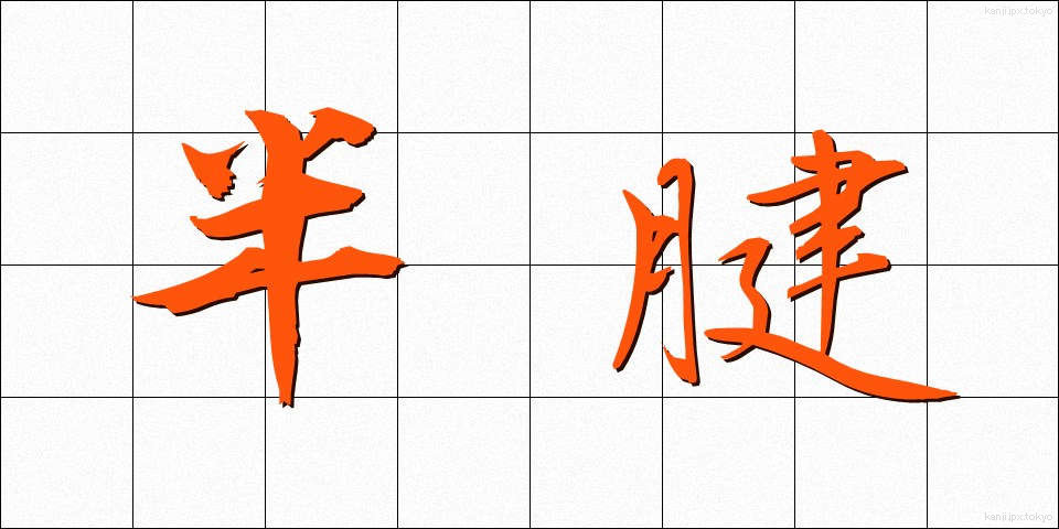 半腱 (はんけん)