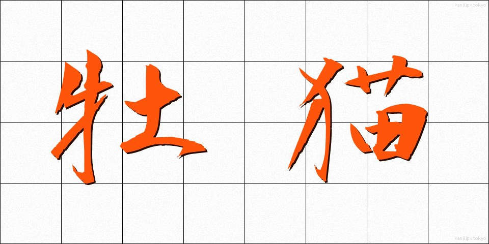 牡猫 (おすねこ)