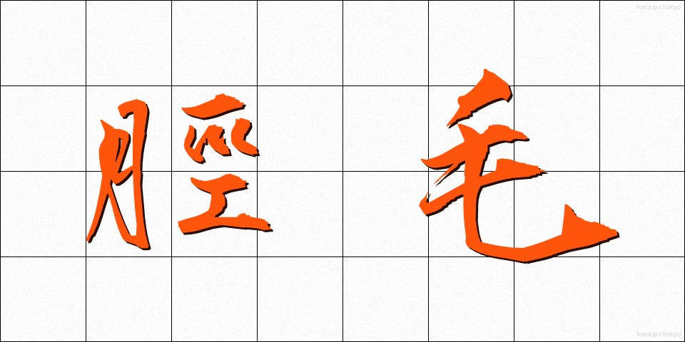 脛毛 (すねげ)