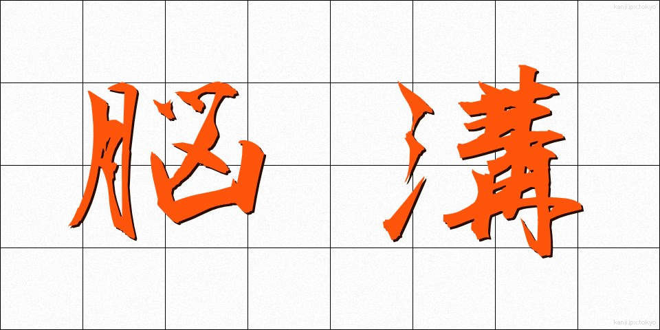 脳溝 (のうこう)