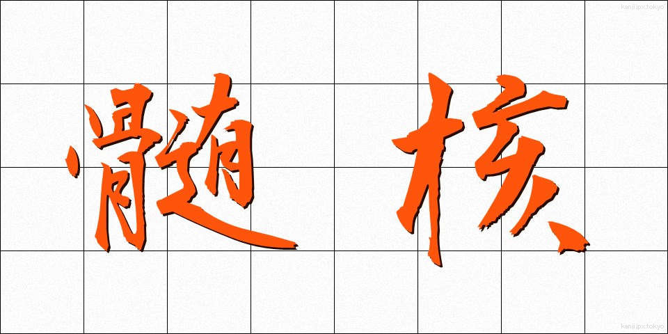 髄核 (ずいかく)