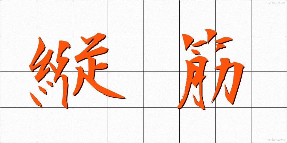 縦筋 (たてすじ)
