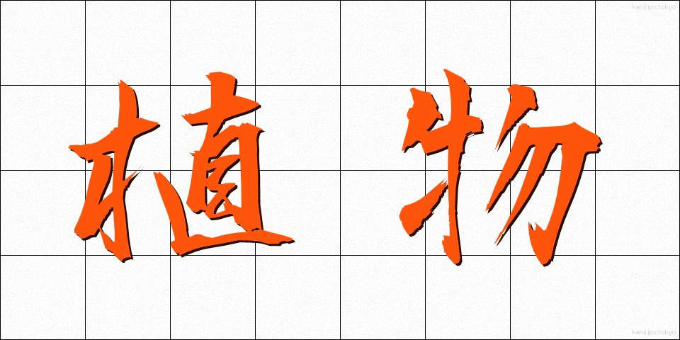 植物 (しょくぶつ)