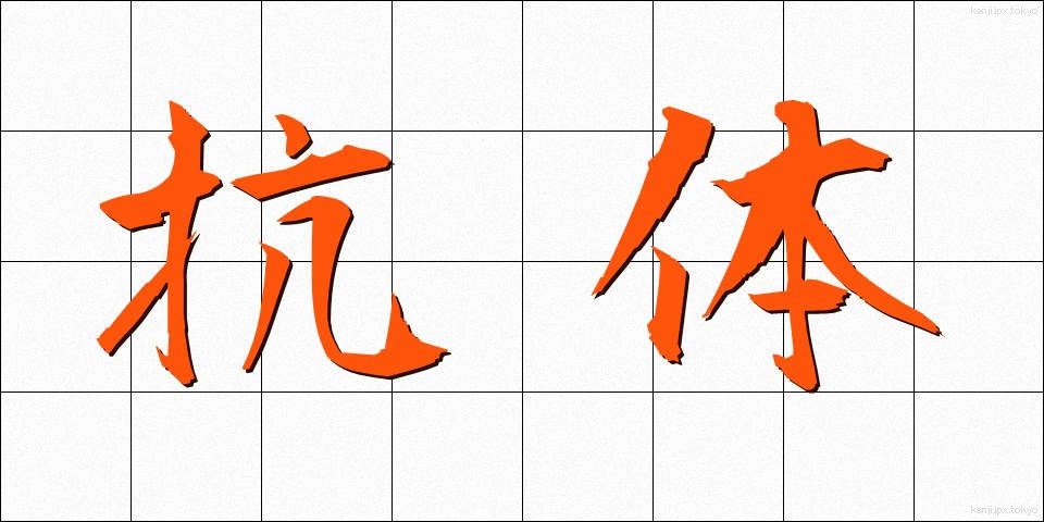 抗体 (こうたい)