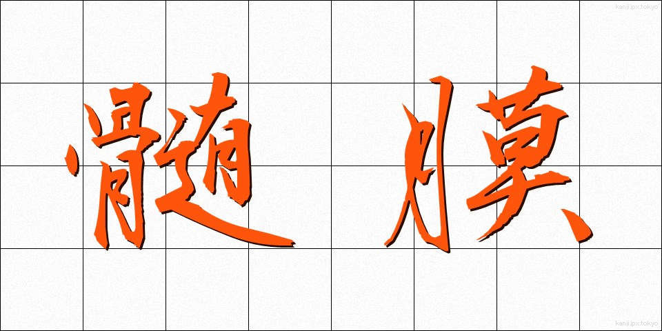 髄膜 (ずいまく)