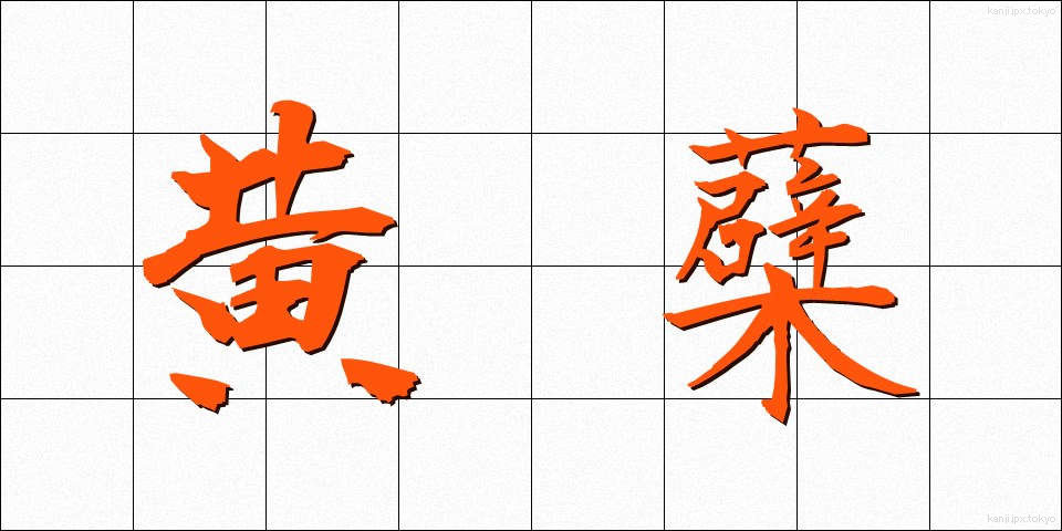 黄蘗 (きはだ)