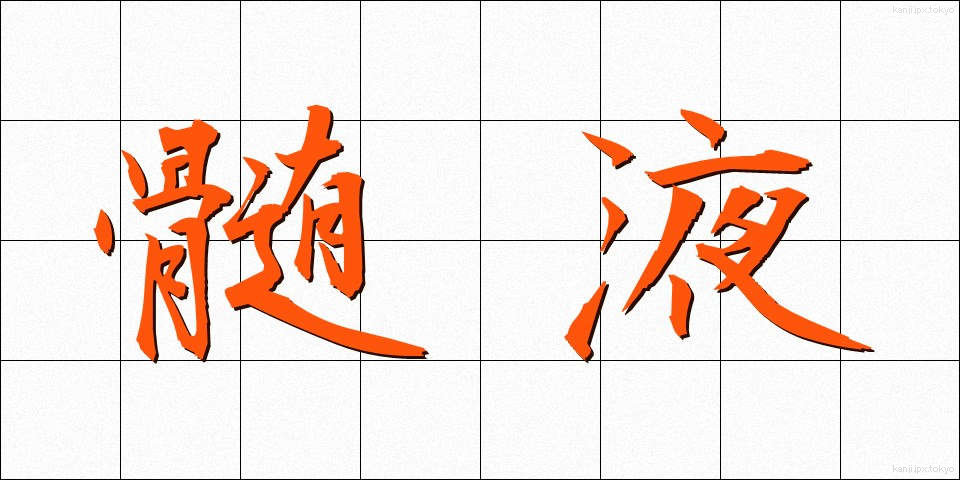 髄液 (ずいえき)
